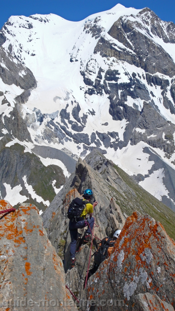 Aiguille de la Vanoise 6